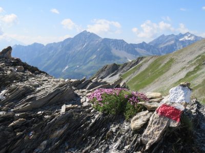 Alpes Gr 5 Nord - Leman Modane — étape 9 : Nant Borrant - Presset