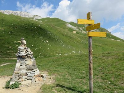 Alpes Gr 5 Nord - Leman Modane — étape 9 : Nant Borrant - Presset