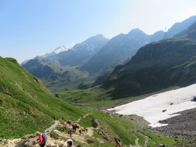 Alpes Gr 5 Nord - Leman Modane — étape 9 : Nant Borrant - Presset