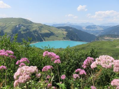 Alpes Gr 5 Nord - Leman Modane — étape 9 : Nant Borrant - Presset