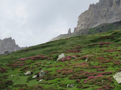 Alpes Gr 5 Sud - Modane Menton — étape 1 : Modane - Vallée étroite
