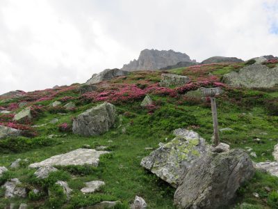 Alpes Gr 5 Sud - Modane Menton — étape 1 : Modane - Vallée étroite
