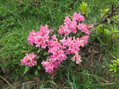 Alpes Gr 5 Sud - Modane Menton — étape 1 : Modane - Vallée étroite