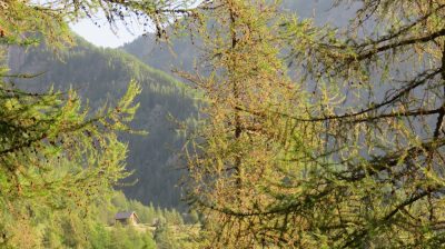 Alpes Gr 5 Sud - Modane Menton — étape 12 : Vacherie de Roure - St Dalmas Valdeblore