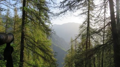 Alpes Gr 5 Sud - Modane Menton — étape 12 : Vacherie de Roure - St Dalmas Valdeblore
