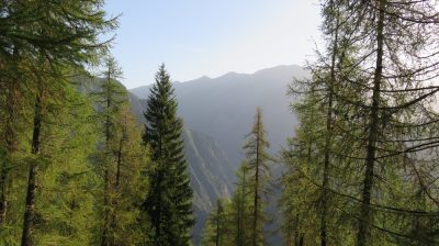 Alpes Gr 5 Sud - Modane Menton — étape 12 : Vacherie de Roure - St Dalmas Valdeblore