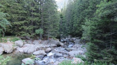 Alpes Gr 5 Sud - Modane Menton — étape 14 : Le Boréon - Refuge de Nice