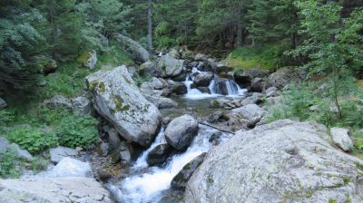 Alpes Gr 5 Sud - Modane Menton — étape 14 : Le Boréon - Refuge de Nice
