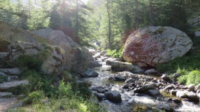 Alpes Gr 5 Sud - Modane Menton — étape 14 : Le Boréon - Refuge de Nice