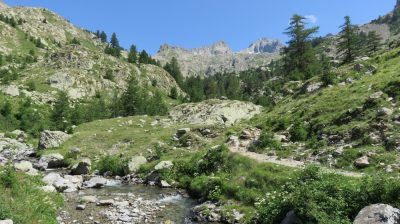 Alpes Gr 5 Sud - Modane Menton — étape 14 : Le Boréon - Refuge de Nice