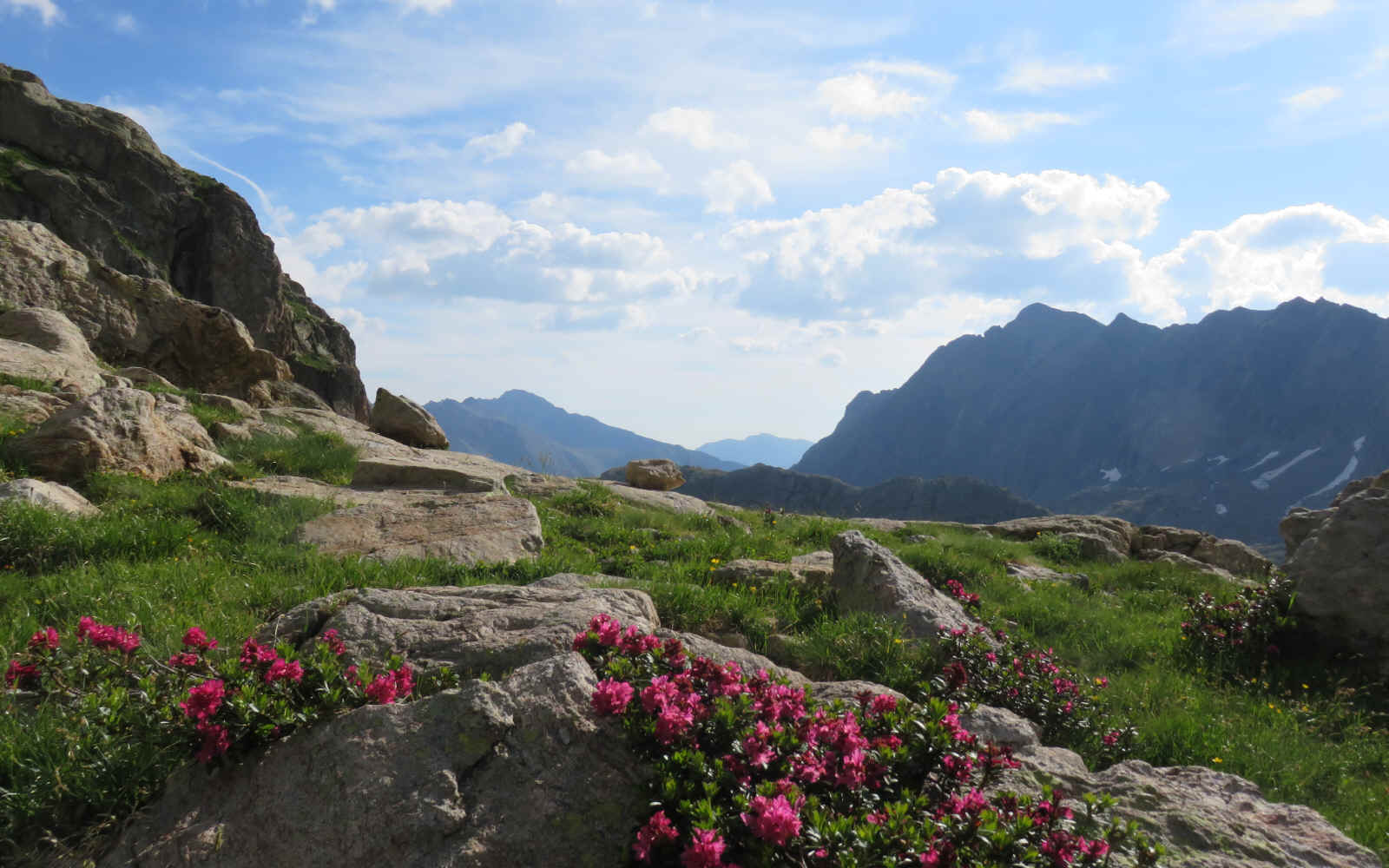 Alpes Gr 5 Sud - Modane Menton — étape 15 : Refuge de Nice - Baisse du camps d'Argent