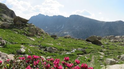 Alpes Gr 5 Sud - Modane Menton — étape 15 : Refuge de Nice - Baisse du camps d'Argent