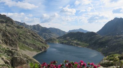 Alpes Gr 5 Sud - Modane Menton — étape 15 : Refuge de Nice - Baisse du camps d'Argent