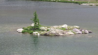 Alpes Gr 5 Sud - Modane Menton — étape 15 : Refuge de Nice - Baisse du camps d'Argent