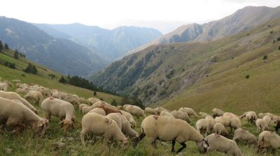 Alpes Gr 5 Sud - Modane Menton — étape 15 : Refuge de Nice - Baisse du camps d'Argent