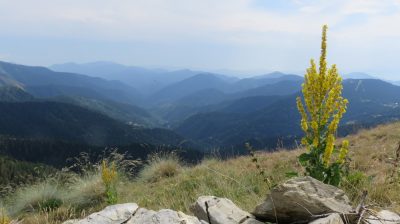 Alpes Gr 5 Sud - Modane Menton — étape 15 : Refuge de Nice - Baisse du camps d'Argent