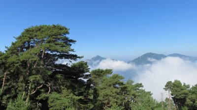 Alpes Gr 5 Sud - Modane Menton — étape 17 : Sospel - Menton