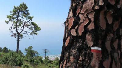 Alpes Gr 5 Sud - Modane Menton — étape 17 : Sospel - Menton