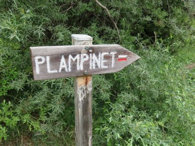 Alpes Gr 5 Sud - Modane Menton — étape 2 : Vallée étroite - Plampinet
