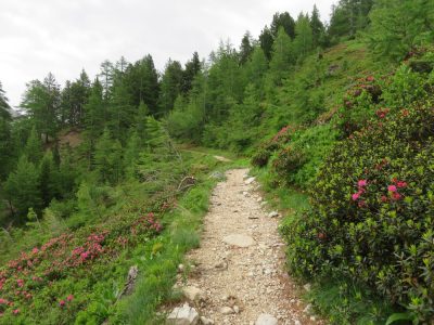 Alpes Gr 5 Sud - Modane Menton — étape 2 : Vallée étroite - Plampinet
