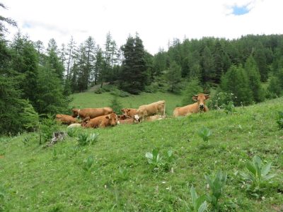 Alpes Gr 5 Sud - Modane Menton — étape 5 : Brunissard - Ceillac
