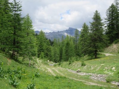 Alpes Gr 5 Sud - Modane Menton — étape 5 : Brunissard - Ceillac