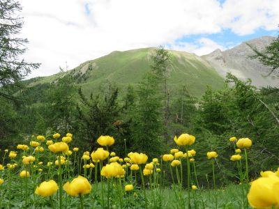 Alpes Gr 5 Sud - Modane Menton — étape 5 : Brunissard - Ceillac