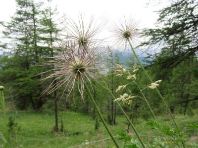 Alpes Gr 5 Sud - Modane Menton — étape 5 : Brunissard - Ceillac