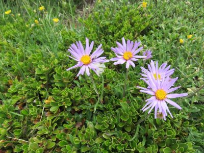 Alpes Gr 5 Sud - Modane Menton — étape 5 : Brunissard - Ceillac