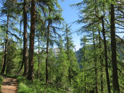 Alpes Gr 5 Sud - Modane Menton — étape 6 : Ceillac - Maljasset