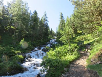 Alpes Gr 5 Sud - Modane Menton — étape 6 : Ceillac - Maljasset