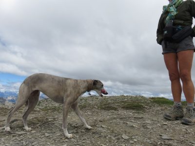 Alpes Gr 5 Sud - Modane Menton — étape 6 : Ceillac - Maljasset