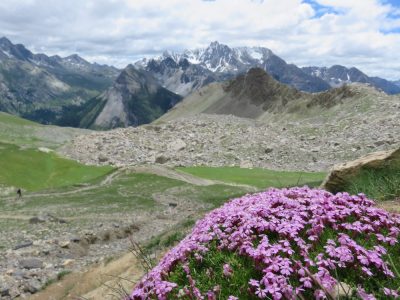 Alpes Gr 5 Sud - Modane Menton — étape 6 : Ceillac - Maljasset