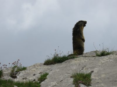 Alpes Gr 5 Sud - Modane Menton — étape 6 : Ceillac - Maljasset
