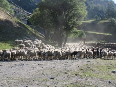 Alpes Gr 5 Sud - Modane Menton — étape 7 : Maljasset - Chiappera