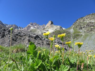 Alpes Gr 5 Sud - Modane Menton — étape 7 : Maljasset - Chiappera