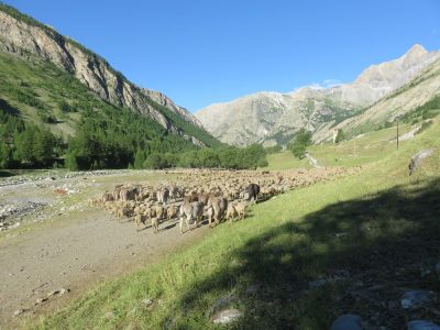 Alpes Gr 5 Sud - Modane Menton — étape 7 : Maljasset - Chiappera
