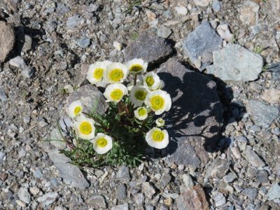 Alpes Gr 5 Sud - Modane Menton — étape 7 : Maljasset - Chiappera