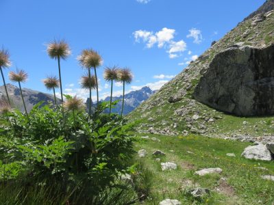 Alpes Gr 5 Sud - Modane Menton — étape 7 : Maljasset - Chiappera