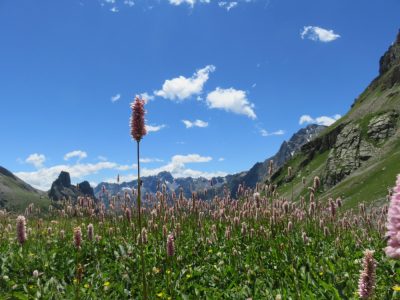Alpes Gr 5 Sud - Modane Menton — étape 7 : Maljasset - Chiappera