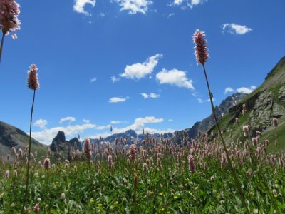 Alpes Gr 5 Sud - Modane Menton — étape 7 : Maljasset - Chiappera