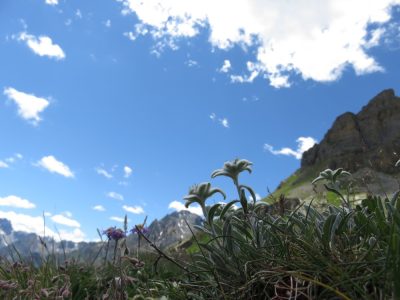 Alpes Gr 5 Sud - Modane Menton — étape 7 : Maljasset - Chiappera