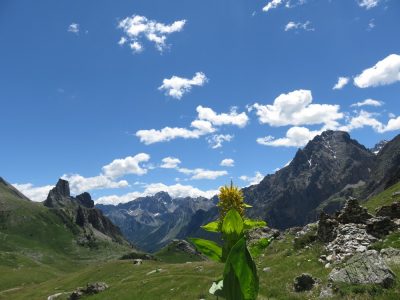 Alpes Gr 5 Sud - Modane Menton — étape 7 : Maljasset - Chiappera