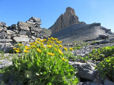 Alpes Gr 5 Sud - Modane Menton — étape 9 : Larche - St Delmas le Selvage