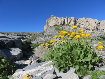 Alpes Gr 5 Sud - Modane Menton — étape 9 : Larche - St Delmas le Selvage