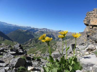 Alpes Gr 5 Sud - Modane Menton — étape 9 : Larche - St Delmas le Selvage