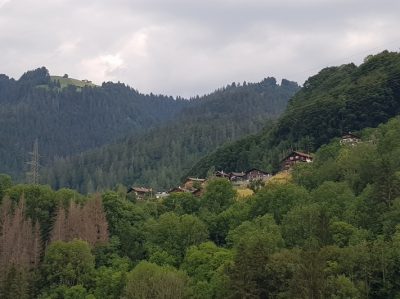 Hommage aux Origines — étape 12 : Waldstadt > Jenaz