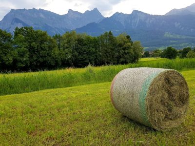 Hommage aux Origines — étape 12 : Waldstadt > Jenaz