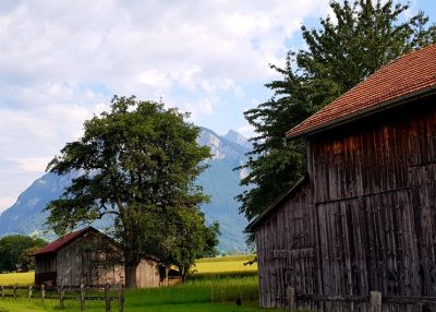 Hommage aux Origines — étape 12 : Waldstadt > Jenaz