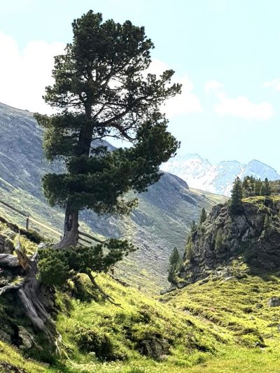 Hommage aux Origines — étape 13 : Jenaz > Col de la Flüela
